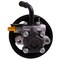 Pwr Steer POWER STEERING PUMP 60-6794P - alternate 6